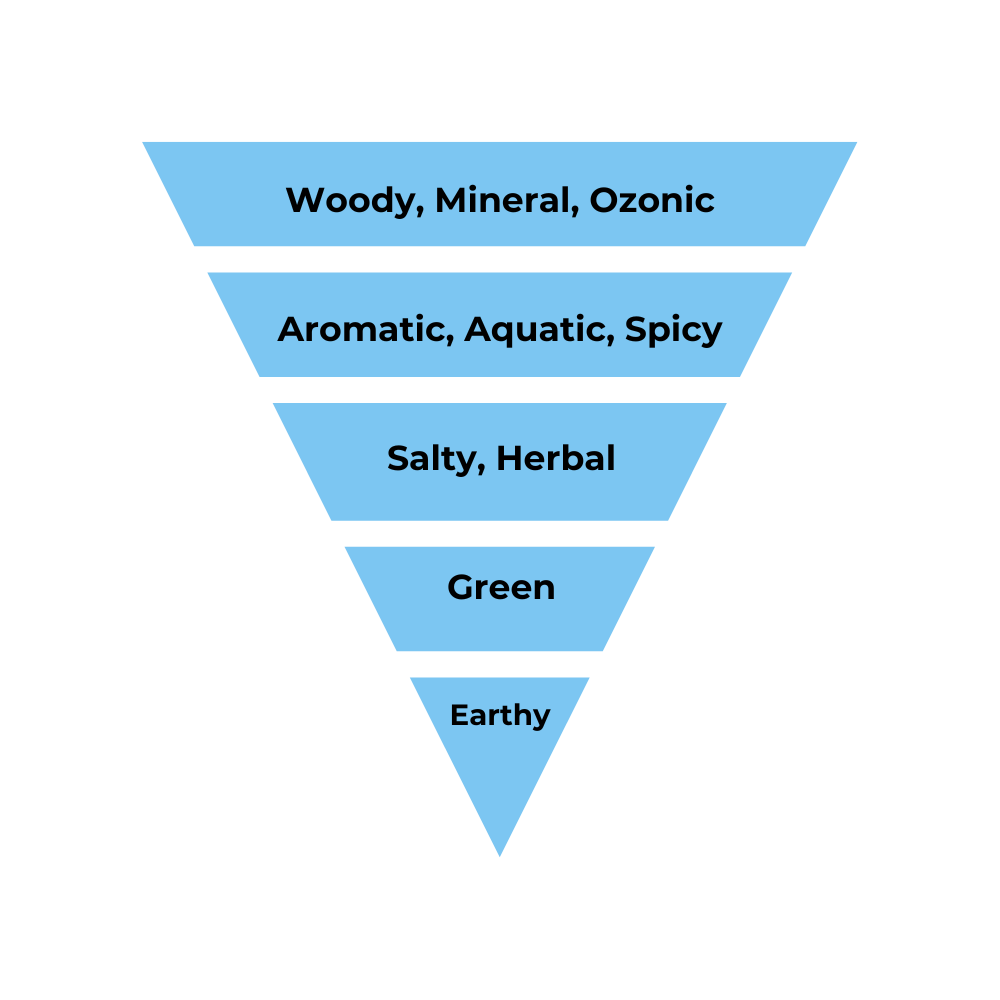 No.24 - Inspired by Valentino Uomo Born in Roma - Air Vent