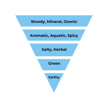 No.24 - Inspired by Valentino Uomo Born in Roma - Air Vent